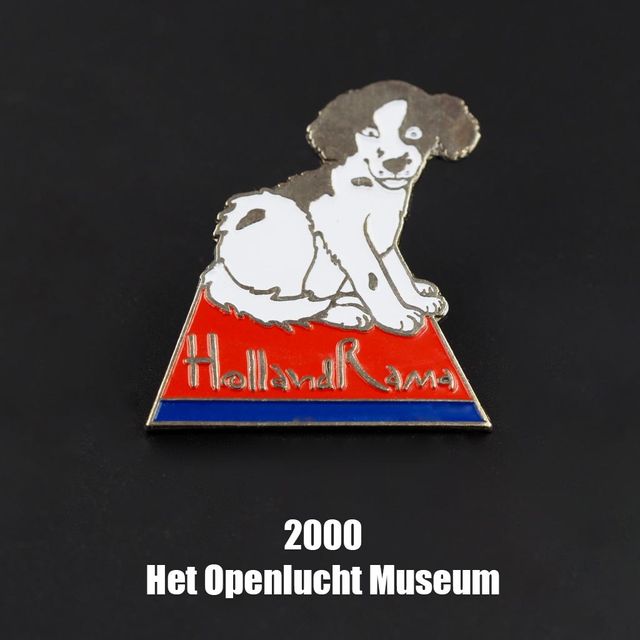 Pin van het jaar 2000